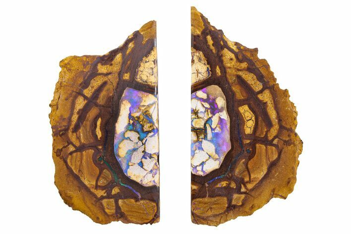 Stunning Yowah Nut Boulder Opal Pair - Australia #381719